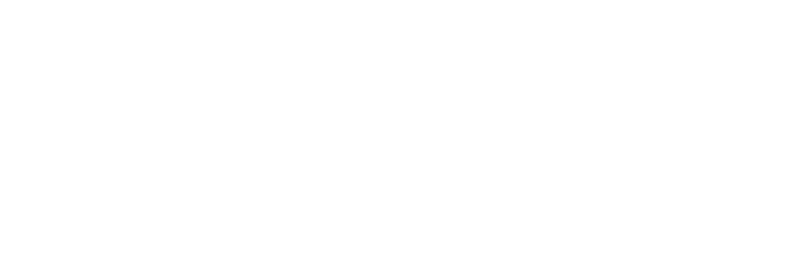 logo-big-white